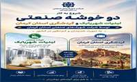 آغاز همزمان توسعه دو خوشه کسب‌وکار در استان کرمان